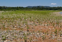 Madidi National Park